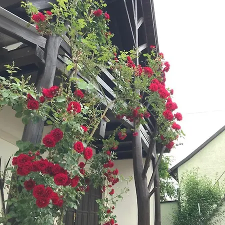 Rózsa Porta Casa de Férias